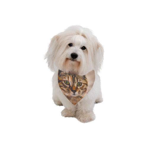 Cute Pretty Little Kitty Cat Pet Dog Bandana/Large Size