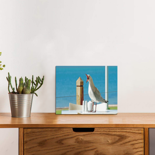 Silly Seagull Photo Panel for Tabletop Display 8"x6"