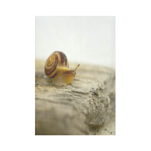 Solitary Snail Cotton Linen Wall Tapestry 60"x 90"