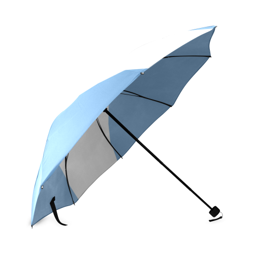 Argentina Flag Foldable Umbrella (Model U01)