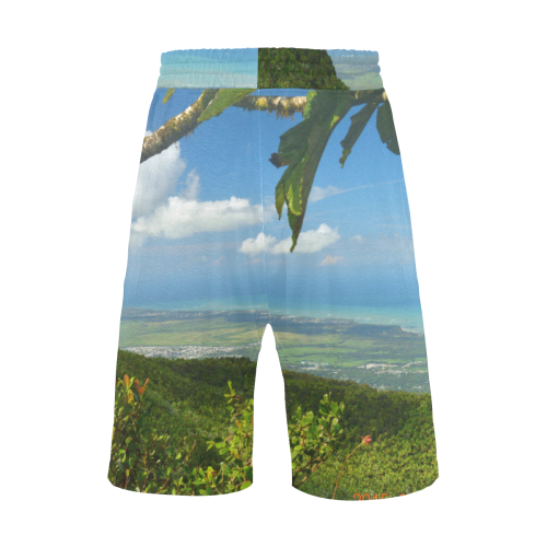 YS_0024 - View Men's All Over Print Casual Shorts (Model L23)