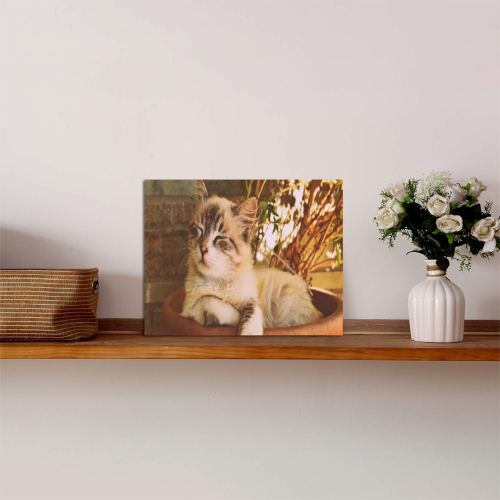 Flower Pot Cat Photo Panel for Tabletop Display 8"x6"