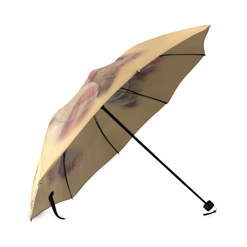 nitac69e60 Foldable Umbrella (Model U01)