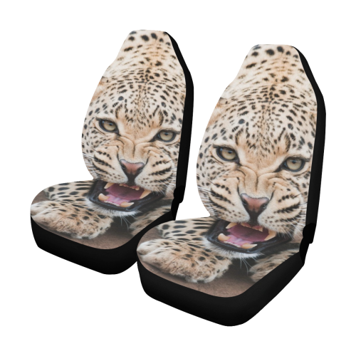 wildlife-cats-terrestrial-animal-mammal-vertebrate Car Seat Covers (Set of 2)