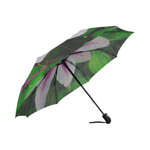 Umbrella Auto-Foldable Umbrella (Model U04)