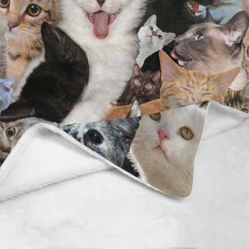 Crazy Kitten Show Ultra-Soft Micro Fleece Blanket 50"x60"