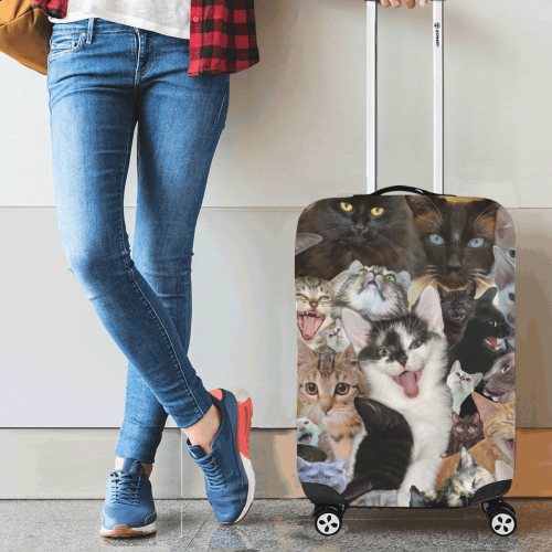Crazy Kitten Show Luggage Cover/Small 18"-21"