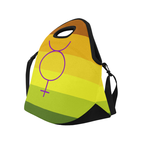 Hermaphrodite Flag Neoprene Lunch Bag/Large (Model 1669)