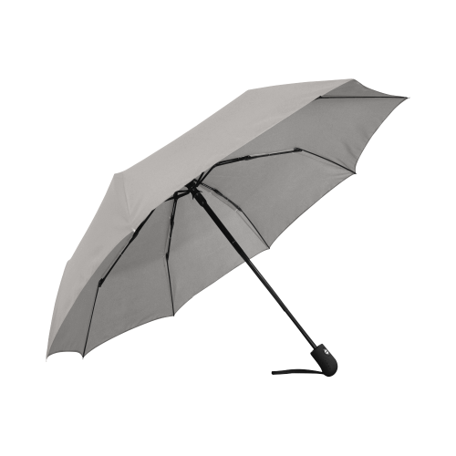 Ash Auto-Foldable Umbrella (Model U04) Auto-Foldable Umbrella (Model U04)