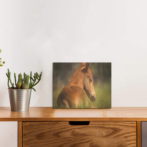 Sleepy Pony Photo Panel for Tabletop Display 8"x6"