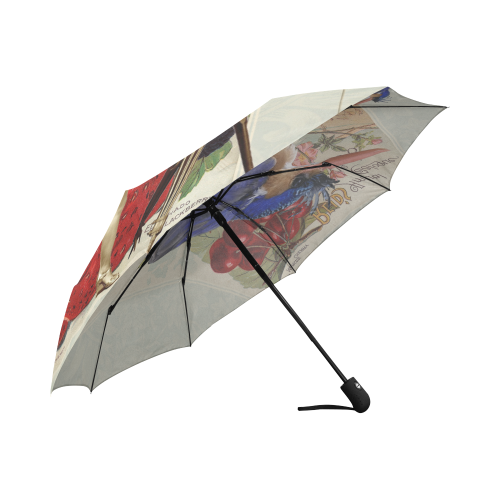 Watch the Birdie Auto-Foldable Umbrella (Model U04)