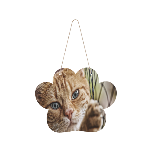 Orange Tabby And Fence Cat Paw Wood Door Hanging Sign
