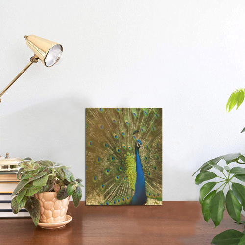 Brilliant Peacock Photo Panel for Tabletop Display 6"x8"