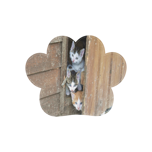 Barnyard Kittens Cat Paw Wood Door Hanging Sign