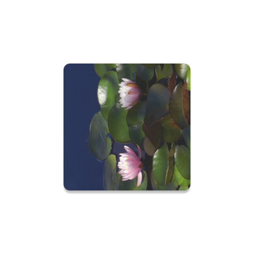 3 pink waterlilies in morning light Square Coaster