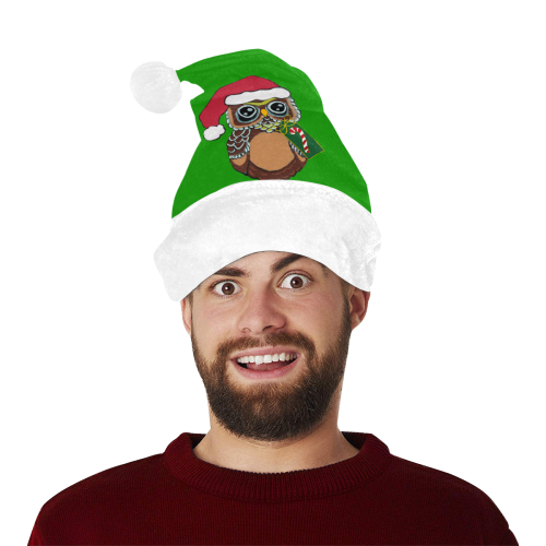 Christmas Owl Green/White Santa Hat