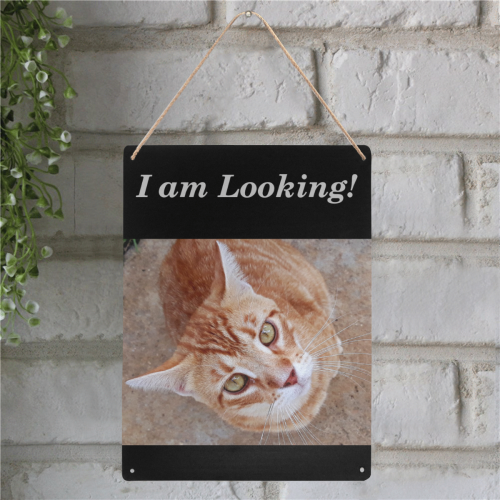 Cat - I am Looking - IMG20190223_022334 Metal Tin Sign 12"x16"