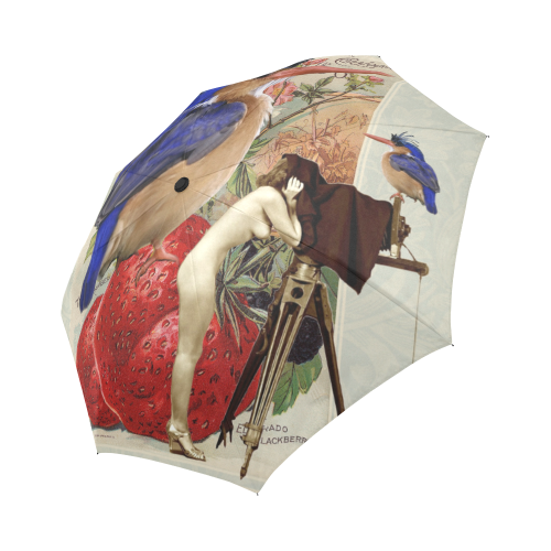 Watch the Birdie Auto-Foldable Umbrella (Model U04)