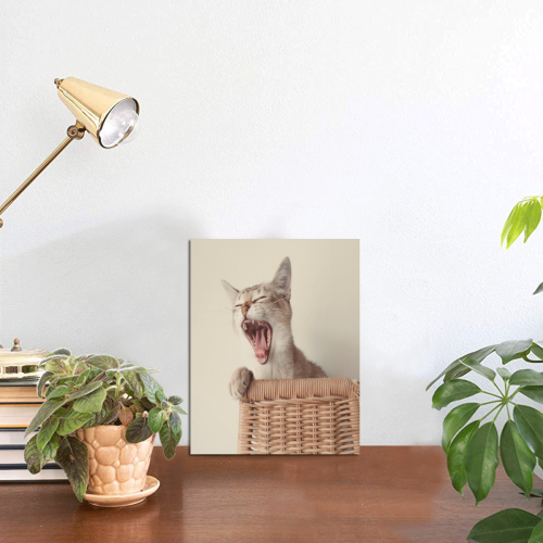 Yawning Cat Photo Panel for Tabletop Display 6"x8"