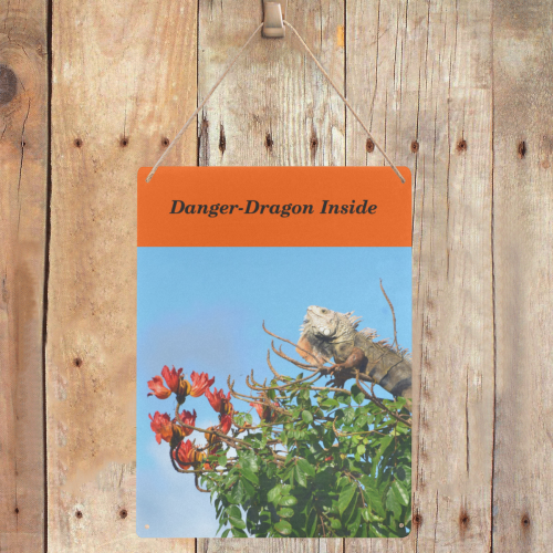 Danger - Dragon Inside - DSC_0153 Metal Tin Sign 12"x16"