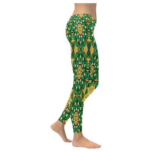 stained glass pattern 9 aa Women's Low Rise Leggings (Invisible Stitch) (Model L05)