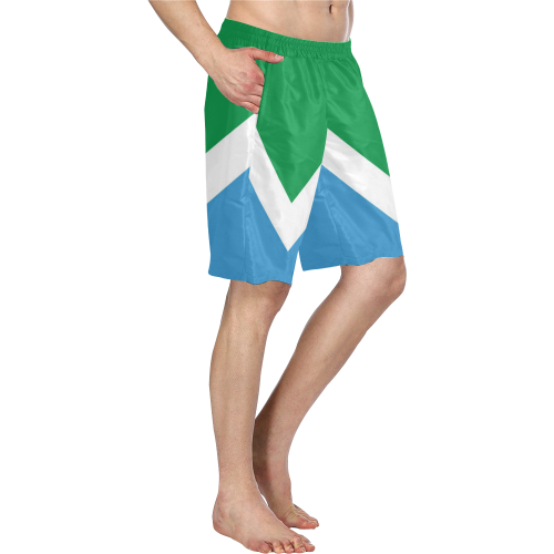 Vegan Flag Men's Swim Trunk/Large Size (Model L21)