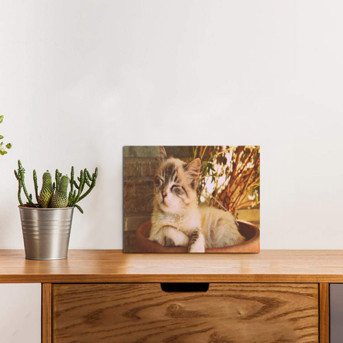 Flower Pot Cat Photo Panel for Tabletop Display 8"x6"
