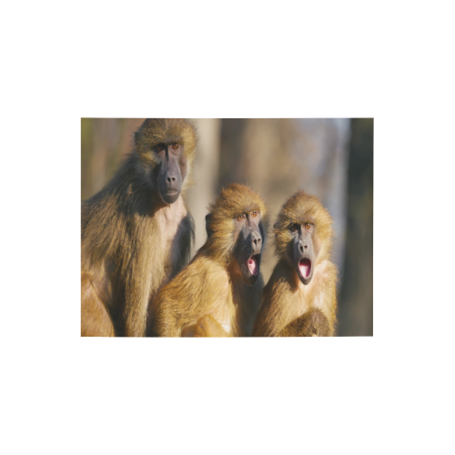 Gossiping Monkeys Photo Panel for Tabletop Display 8"x6"