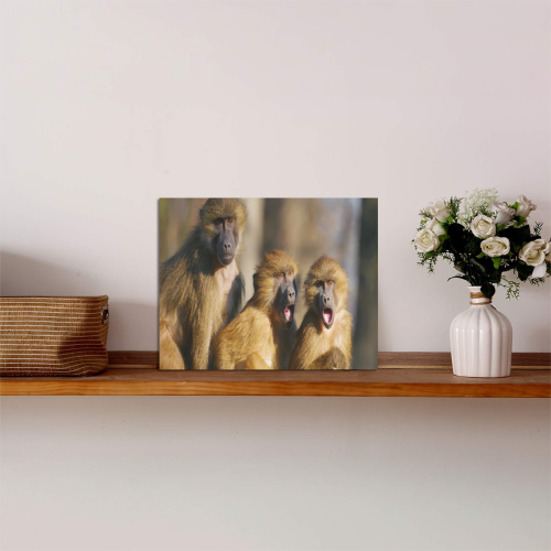 Gossiping Monkeys Photo Panel for Tabletop Display 8"x6"