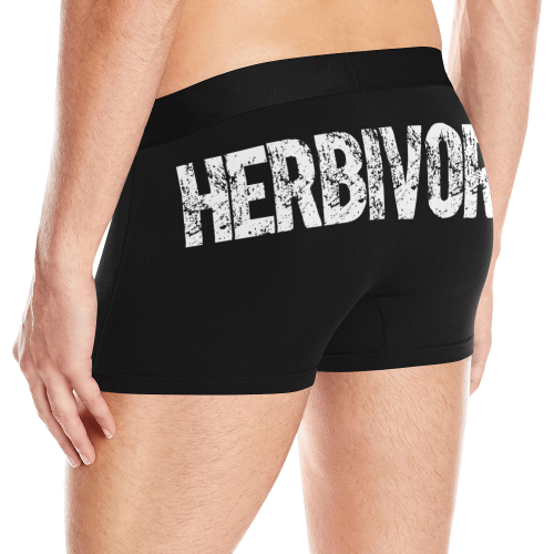 Herbivore (vegan) Men's All Over Print Boxer Briefs (Model L10)