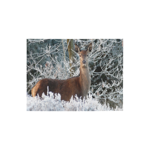Winter Deer Photo Panel for Tabletop Display 8"x6"