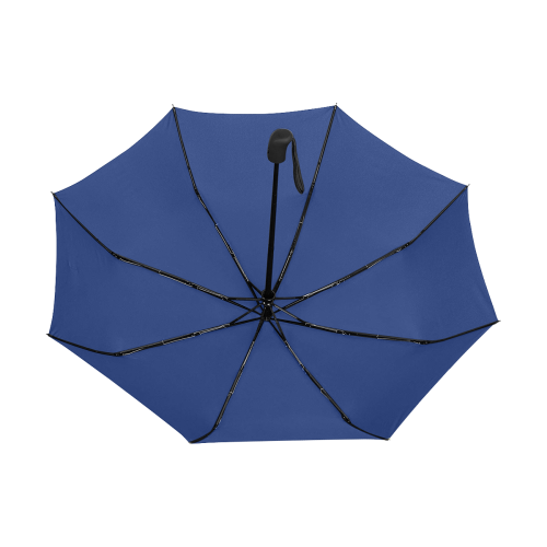 Porcelain Blue Color Anti-UV Auto-Foldable Umbrella (Underside Printing) (U06)