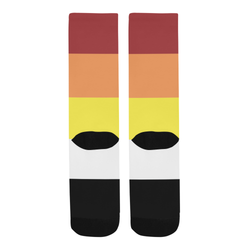 Lithsexual Flag Men's Custom Socks