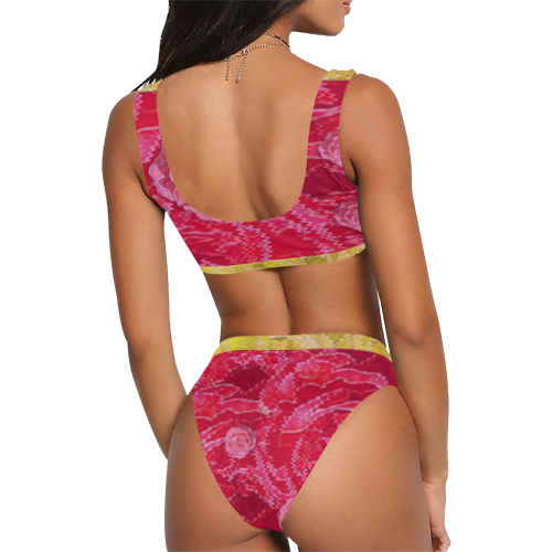 Rose and roses and another rose Sport Top & High-Waisted Bikini Swimsuit (Model S07)