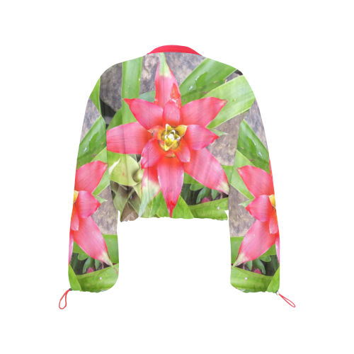 Magic Bromeliad Flower - IMG20190227_210451 Cropped Chiffon Jacket for Women (Model H30)