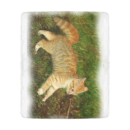 Funny Kitten Ultra-Soft Micro Fleece Blanket 50"x60"