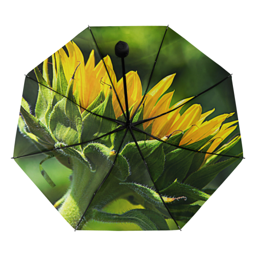 Sunflower New Beginnings Anti-UV Foldable Umbrella (Underside Printing) (U07)