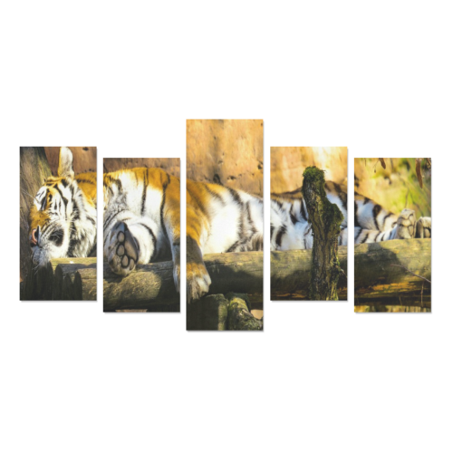 Tiger Panoramic Canvas Print Sets E (No Frame)