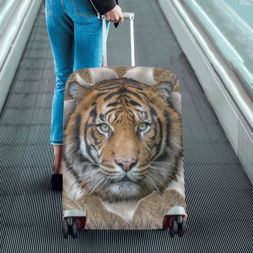 bengal tiger from india Luggage Cover/Large 26"-28"