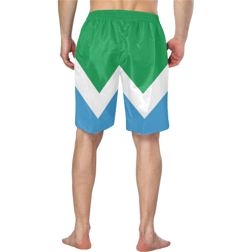 Vegan Flag Men's Swim Trunk (Model L21)