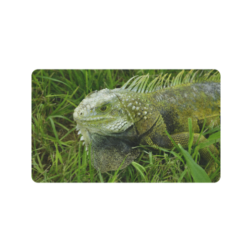 Iguana in Isabela Puerto Rico - ID:DSC0128 Doormat 30"x18" (Black Base)