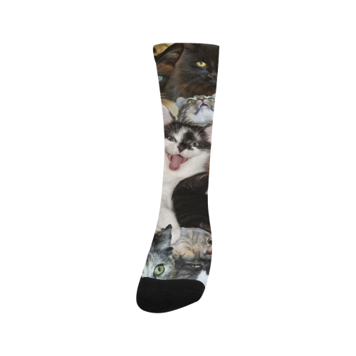 Crazy Kitten Show Men's Custom Socks