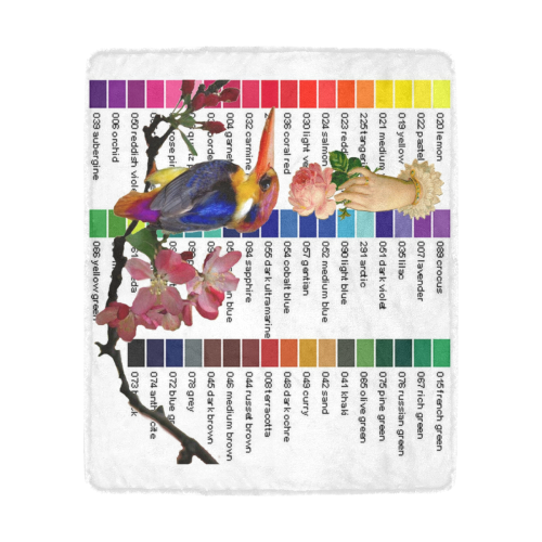 Colour Chart with KIngfisher Ultra-Soft Micro Fleece Blanket 50"x60"