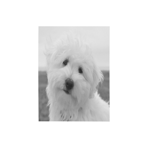 White Poodle Photo Panel for Tabletop Display 6"x8"
