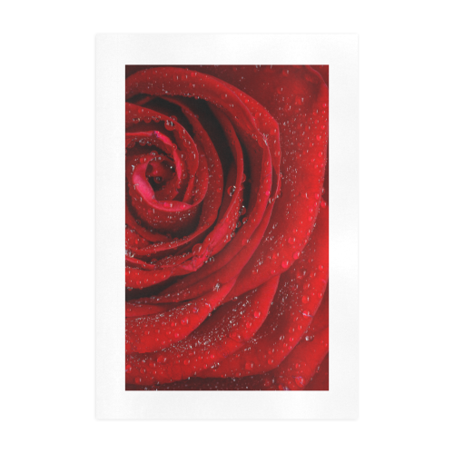 Red rosa Art Print 19‘’x28‘’