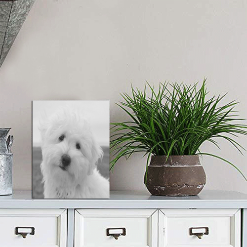 White Poodle Photo Panel for Tabletop Display 6"x8"