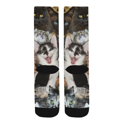 Crazy Kitten Show Men's Custom Socks