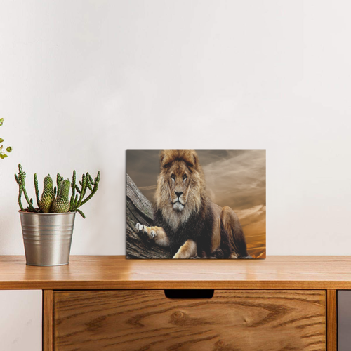 King Lion Sunset Photo Panel for Tabletop Display 8"x6"