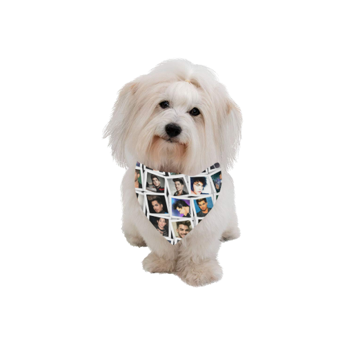 photovisi-download (16) Pet Dog Bandana/Large Size