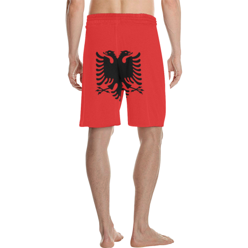 ALBANIA LARGE Men's All Over Print Casual Shorts (Model L23)
